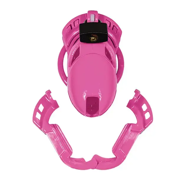 Locked In Lust The Vice Standard Locked In Lust Female Sex Toys