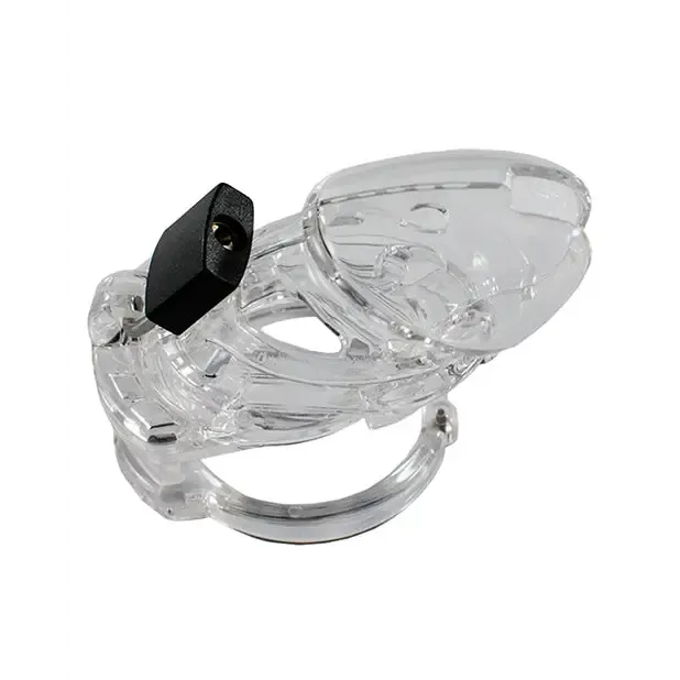 Locked In Lust The Vice Standard Locked In Lust Female Sex Toys