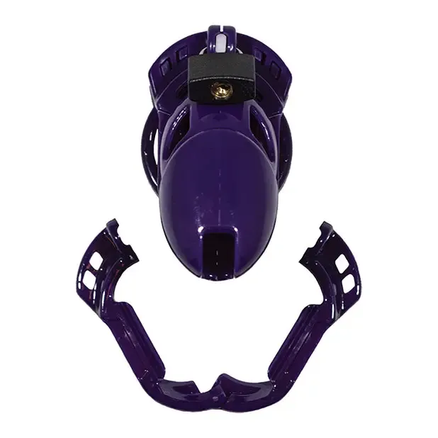 Locked In Lust The Vice Standard Locked In Lust Female Sex Toys