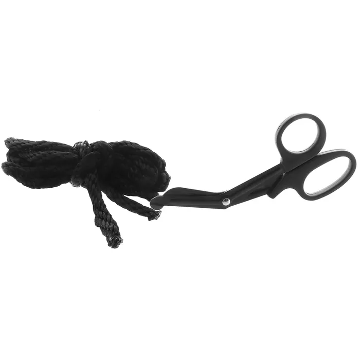 Sportsheets Couples Learn The Ropes 4 Piece Bondage Kit