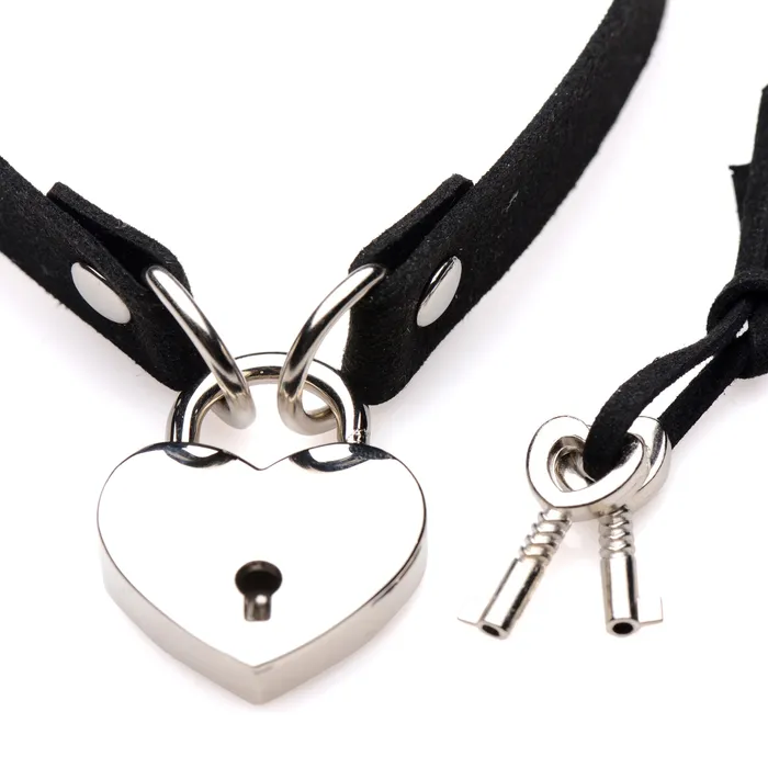 Dildos Master Series LockIt Heart Choker