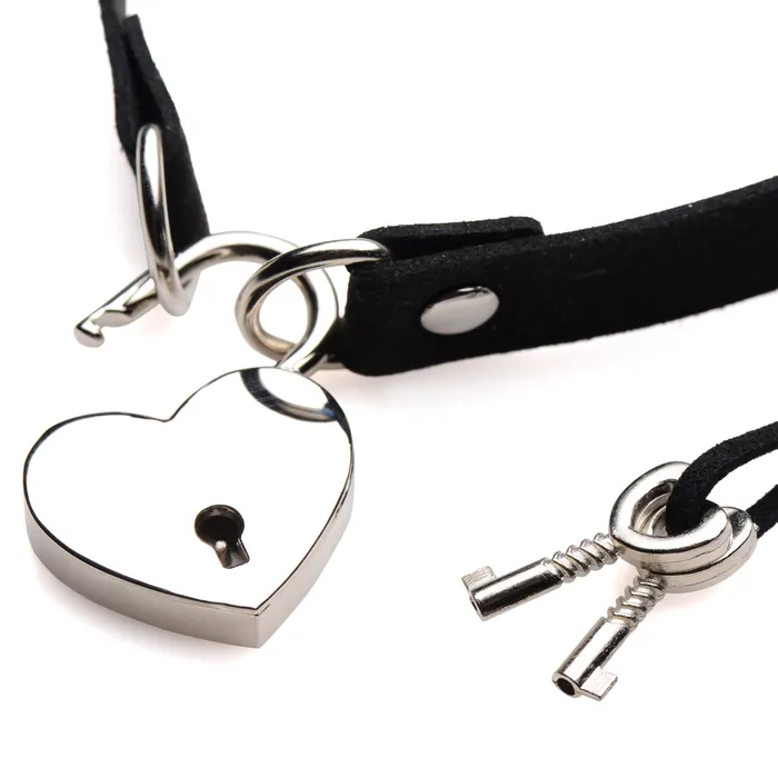 Dildos Master Series LockIt Heart Choker