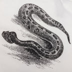 Serpent Pigment Dyed Tee - Natural