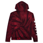 Legacy AJ6 Graphic Fleece Pullover Hoodie - Black/Gym Red