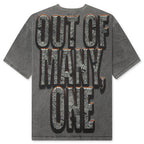 Liberty Ruins T-Shirt - Grey