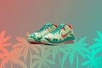 LeBron 9 Low "LeBronald Palmer" - White Lime/Bright Mango/New Green