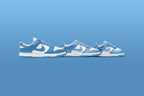 Dunk Low (TD) - White/University Blue