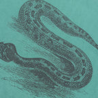Serpent Pigment Dyed Tee - Pine