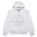 Established Printed Zip Hoodie - Ash Heather