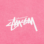 Painter Pigment Dyed Tee - Pink