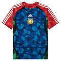 adidas Originals x BAPE Teamgeist Hockey Tee - Blue/Red/Green