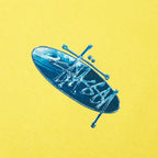 Wave Oval Tee - Lemon