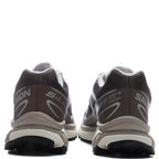XT-6 - Earth Brown/Walnut/Footwear Silver