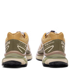 XT-6 GTX - Antelope/Icicle/Portabella