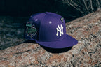 Feature x New Era Northern Lights 59FIFTY Fitted - New York Yankees
