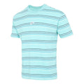 Men's Nike Sportswear Embroidered Logo Stripe Loose Knit Sports Short Sleeve Blue Green T-Shirt DB6532-307