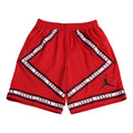 Air Jordan DRI-FIT Men Basketball Short Red AJ1109-687
