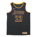 Nike NBA LeBron James Los Angeles Lakers 2020/21 Fan Edition Jersey #23 CN9929-013