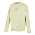 Men's Nike Embroidered Logo Sports Round Neck Pullover Green DR7836-371