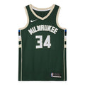 Nike NBA Basketball Jersey SW Fan Edition 19-20 Season Milwaukee Bucks Alphabet 34 Green CW3672-329