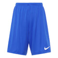 Nike Park III Shorts 'Blue' BV6855-463