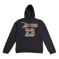 Nike lakers LeBron James Basketball Sports Fleece Lined Pullover Black AV0401-010