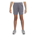 (GS) Nike Dri-FIT Trophy Training Shorts 'Smoke Grey' DX5416-084